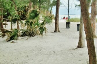 Fantastic Baby & Family Vacation