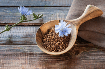 Is It Safe To Eat Chicory During Pregnancy?